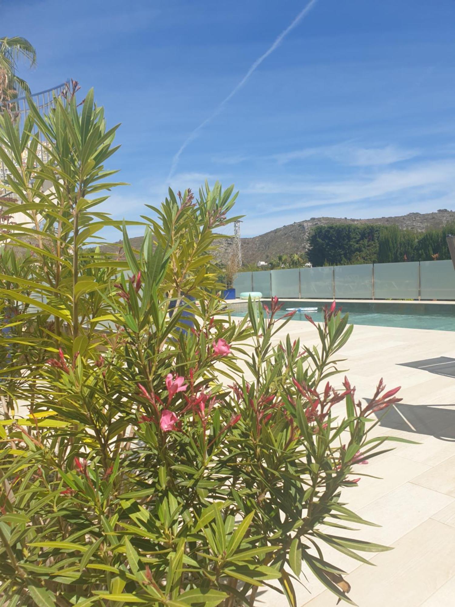 Casa Osimos Portet 450 M Морайра Екстер'єр фото